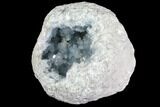 Huge, Celestine (Celestite) Geode ( Lbs) - Top Quality #87137-2